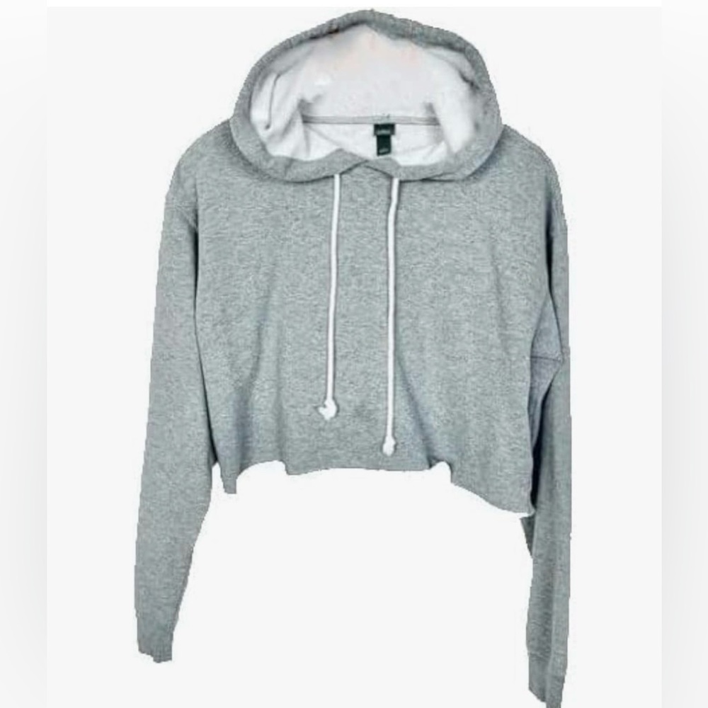Wild Fable Heather Gray Cropped Hoodie